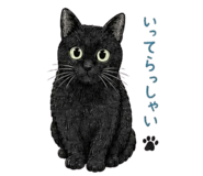 845288194