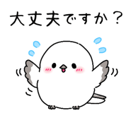 845288269