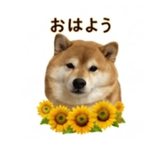 845289042