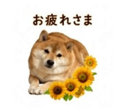 845289043