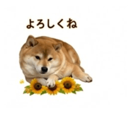 845289045