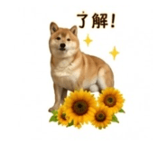 845289046