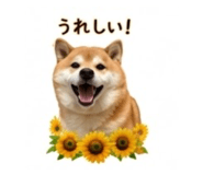 845289047