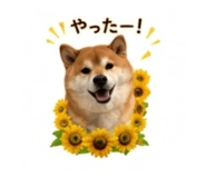 845289048
