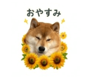 845289049
