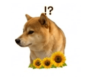 845289054