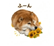 845289056