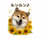 845289057