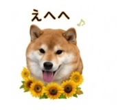 845289058