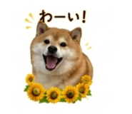 845289059