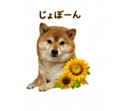 845289062
