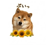 845289063