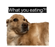 845295037