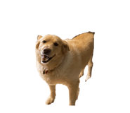 845295040