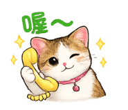 845295542