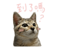 845295809