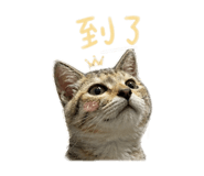845295810
