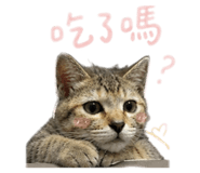 845295811