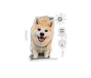 845296098