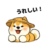 845296737