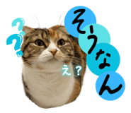 845297010