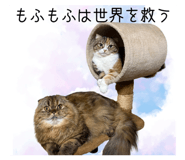 845297020