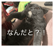 845297079