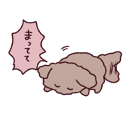 845297113