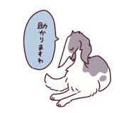 845297117