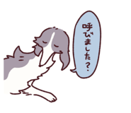 845297120
