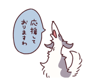 845297126