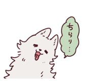 845297127