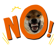 845297187