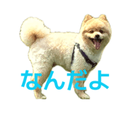 845297251