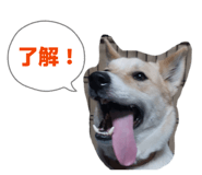 845297409