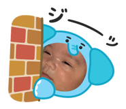845297524