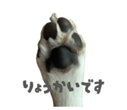 845297897