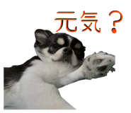 845298413