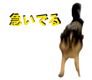 845298422