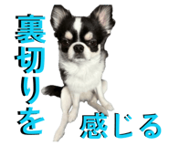 845298428
