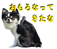 845298435