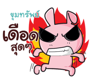 845298528