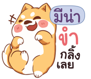 845307313