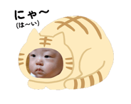 845313786