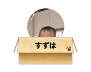 845313792