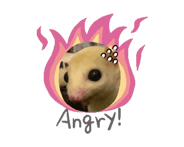 845315178