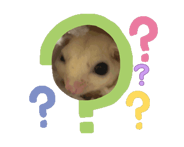 845315184