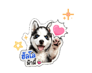 845315978
