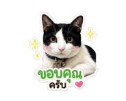 845316260