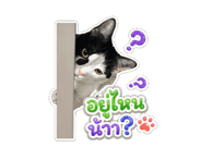 845316267